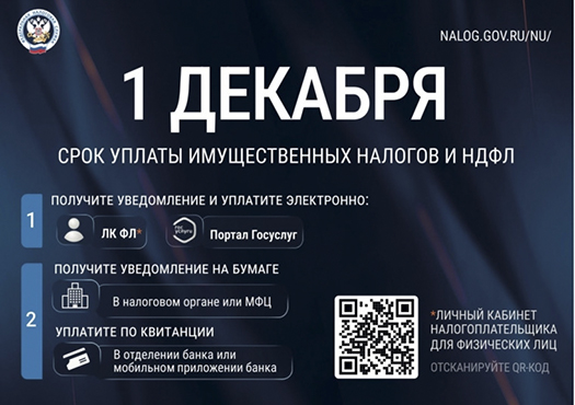 Федеральная налоговая служба напоминает о необходимости уплаты налогов до 1 декабря 2026 года