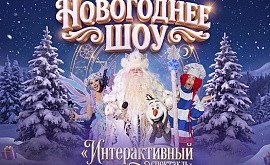 Интерактивный спектакль «Новогоднее шоу»