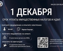 Федеральная налоговая служба напоминает о необходимости уплаты налогов до 1 декабря 2026 года
